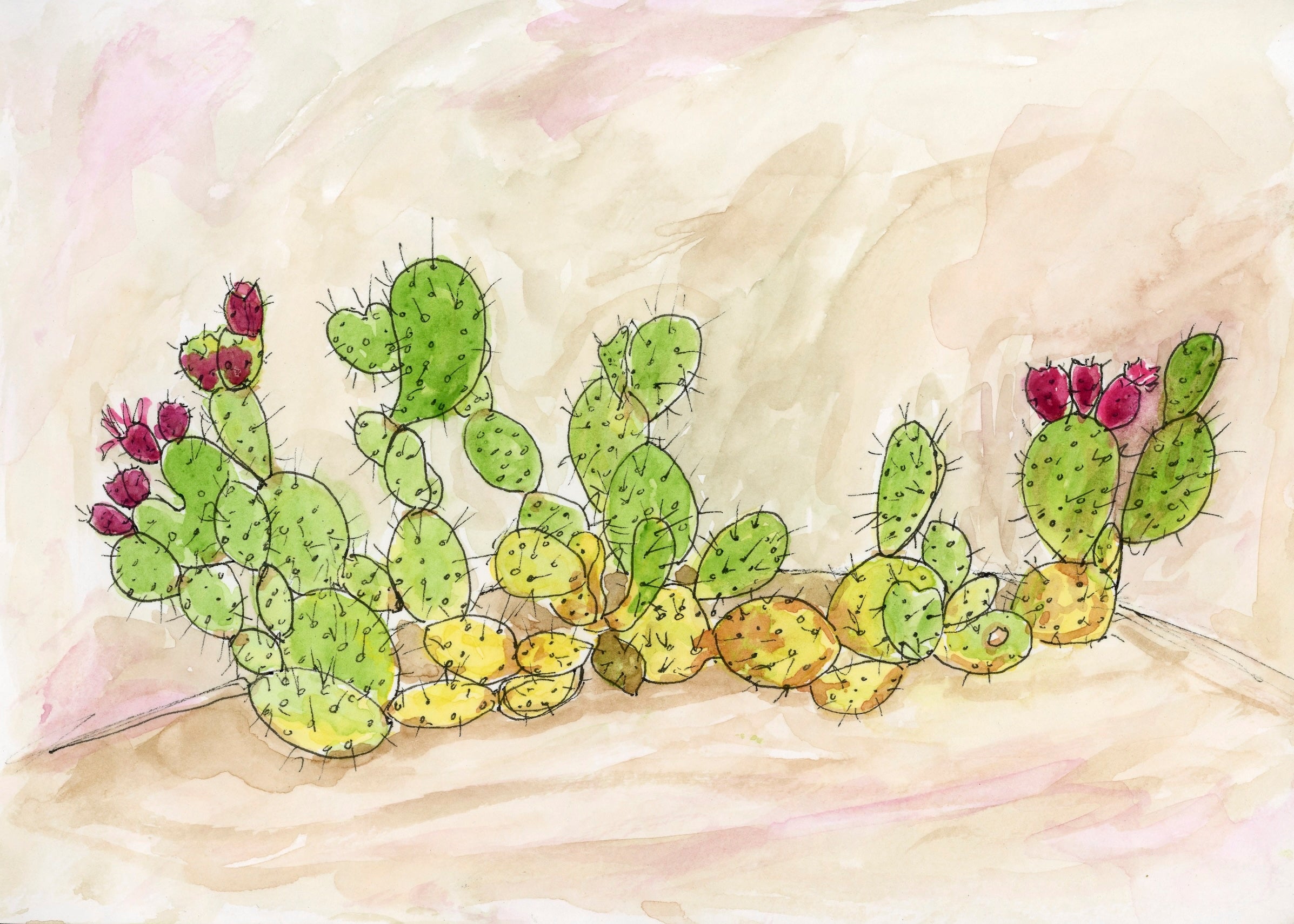 paintings of prickly pear cactus Prickly Pears – Heart Compass Creative