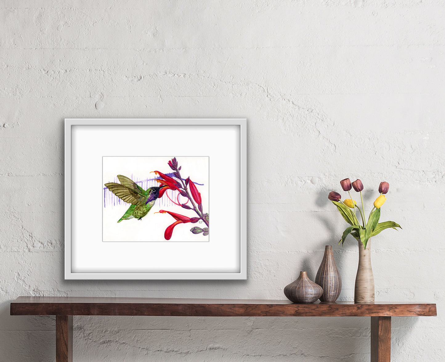 Costa's Hummingbird Fine Art Print