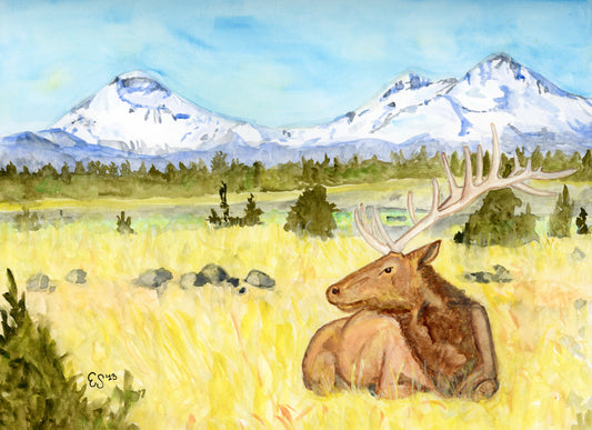 Three Sisters Elk Fine Art Print