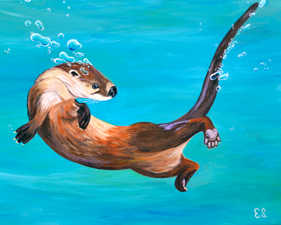 Bubbles - River Otter Fine Art Print