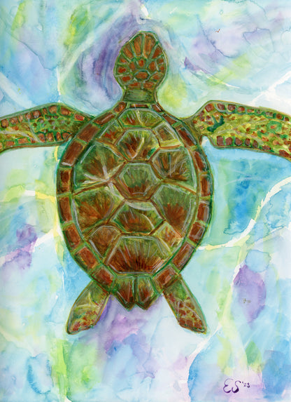 Sea Turtle Fine Art Print