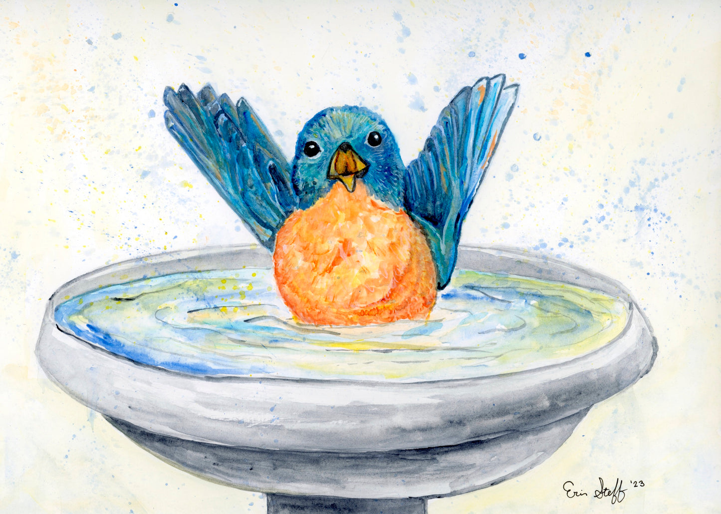 Bluebird Bath Fine Art Print